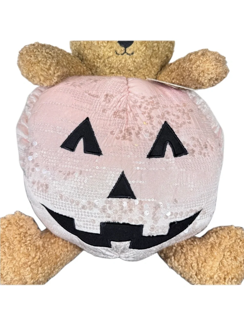 Sherpa Teddy Bear in a Pumpkin Costume Decorative Pillow